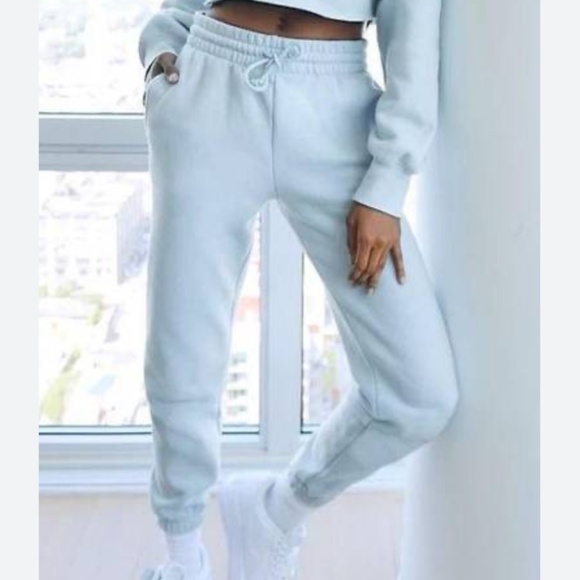 TNA Pants - TNA cozy fleece boyfriend sweatpants dune blue XS